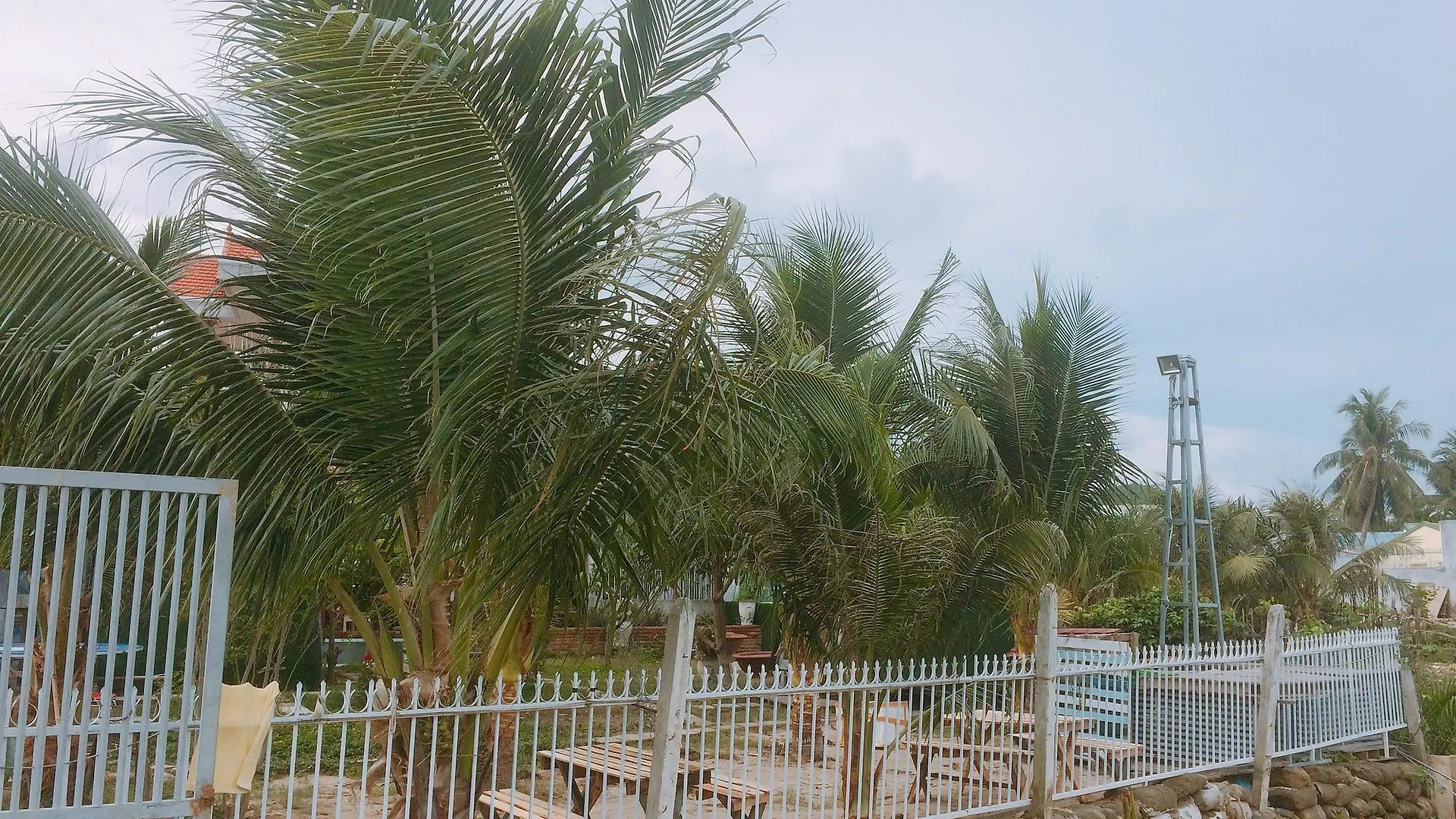 Jen'S Homestay Nha Trang Vietnam
